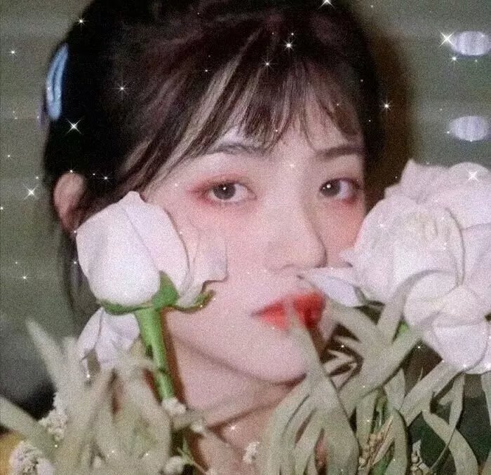 飞向星星的你