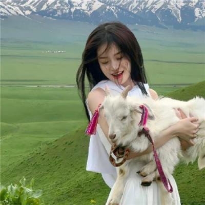 猛虎过山