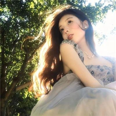流星赶月记